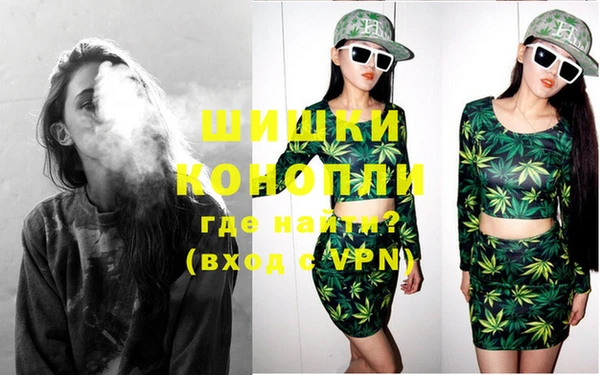 шишки Алексеевка