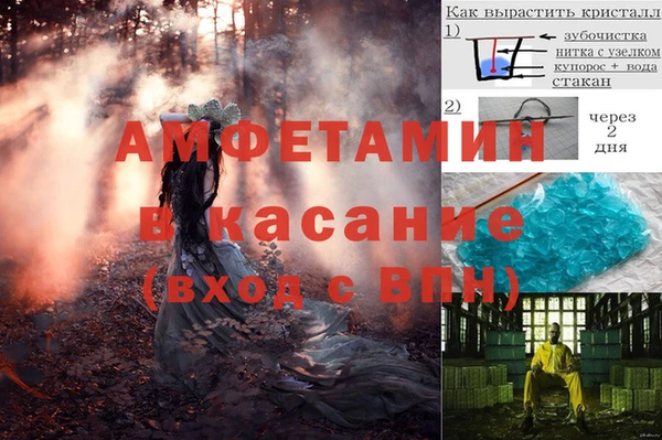 шишки Алексеевка